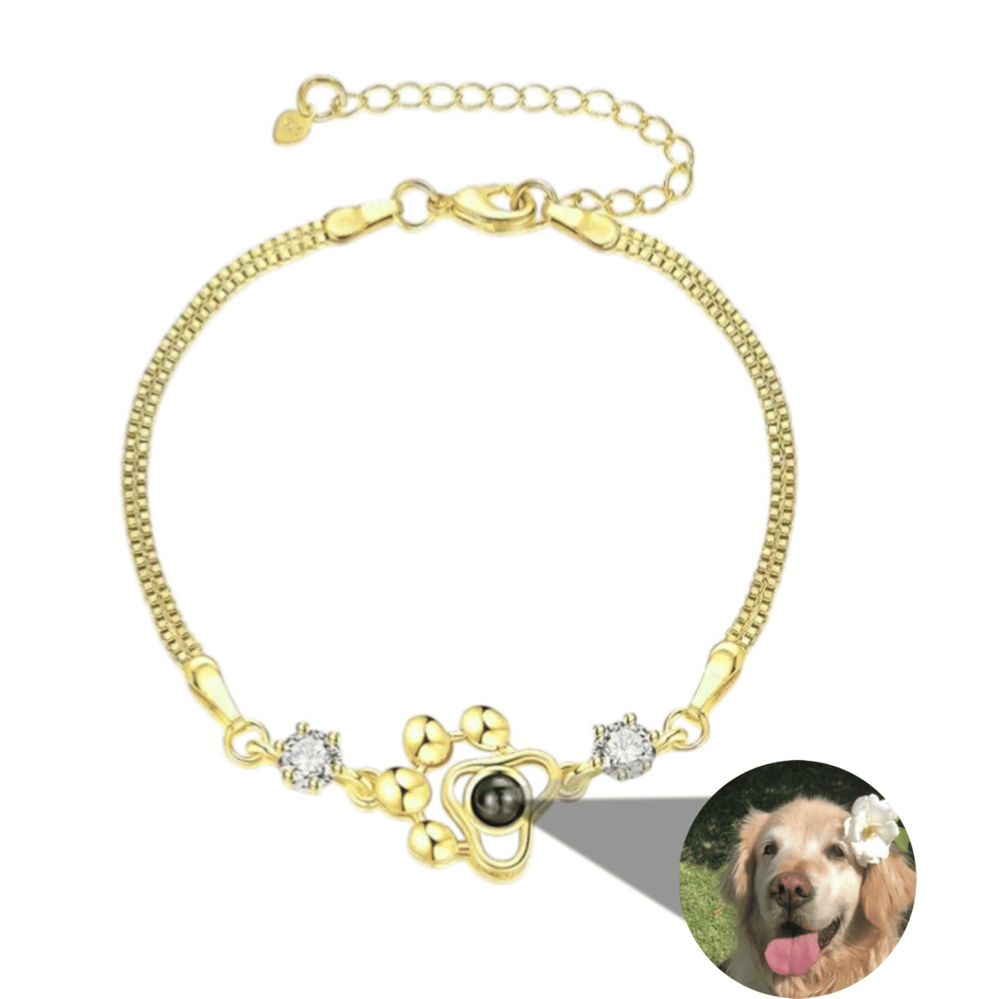 Bracelet Photo Animal