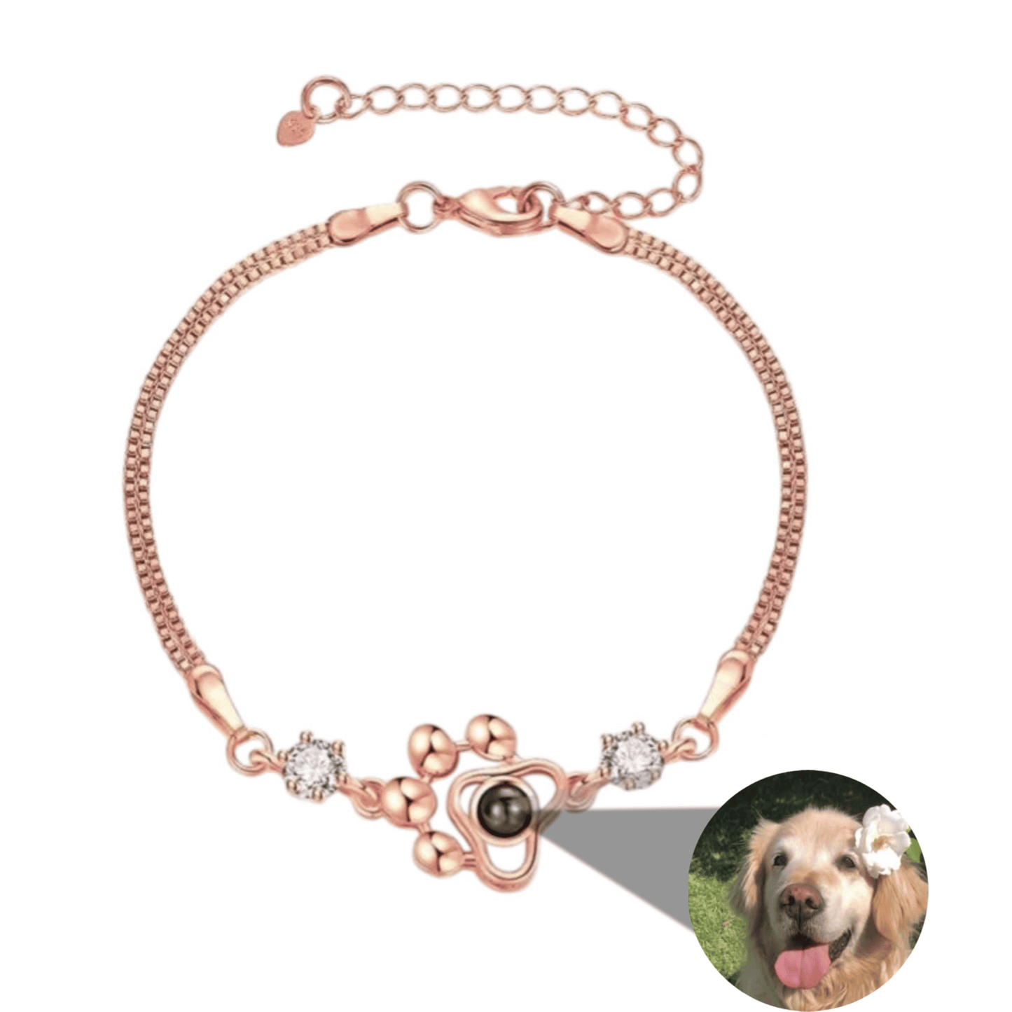 Bracelet Photo Animal