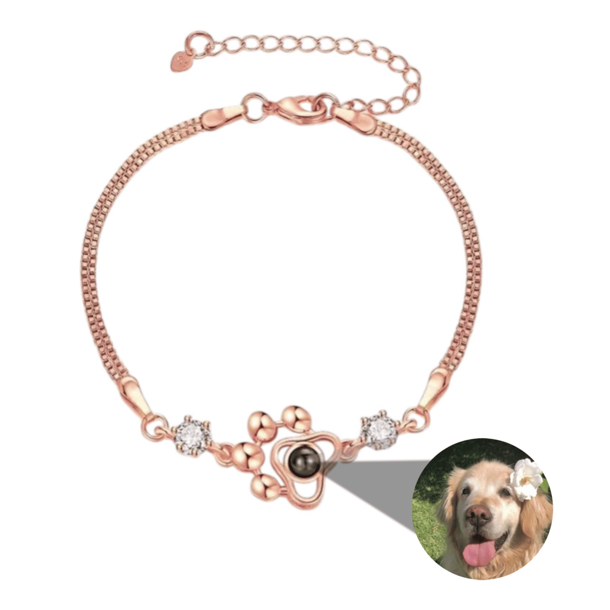 Bracelet Photo Animal